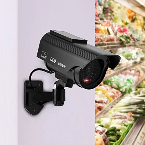 Dummy - Indoor Outdoor