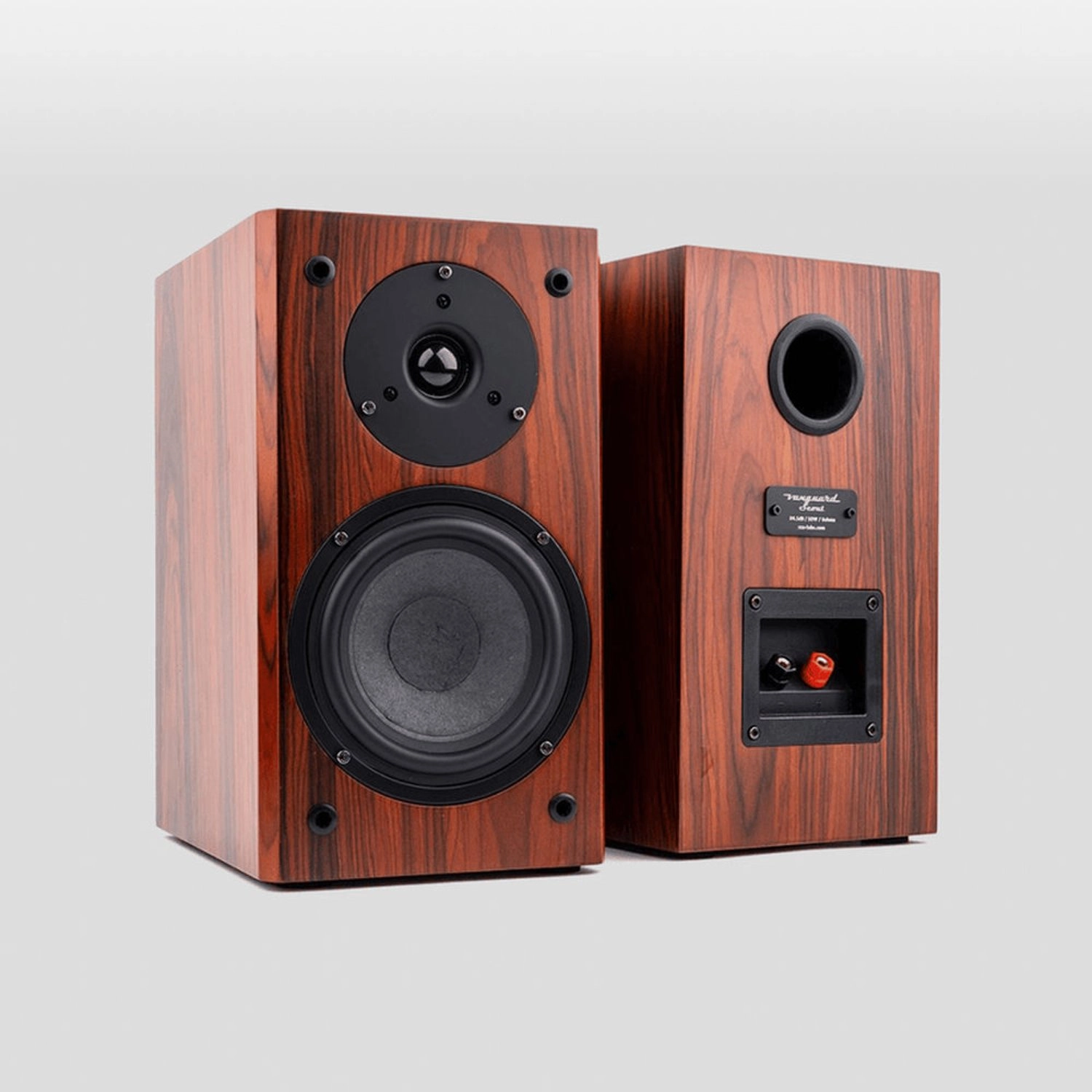 Misc-Acc Vanguard Scout - 2-way 20 – 60 W RMS