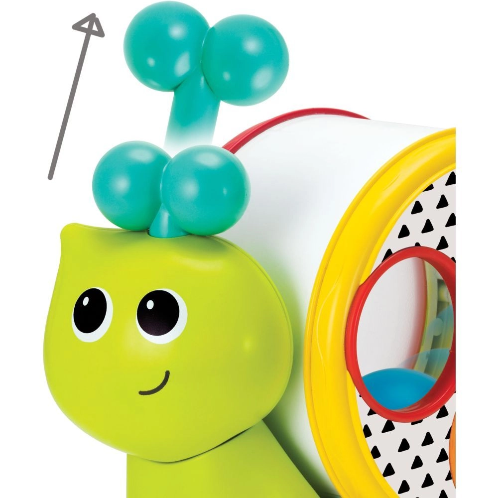 Speedy's Magical Shell - 12 months