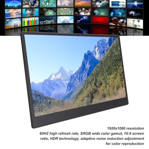 Portable Touchscreen Display - HD 13 Inches