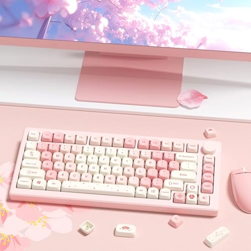 MOA Profile Key caps - Wired