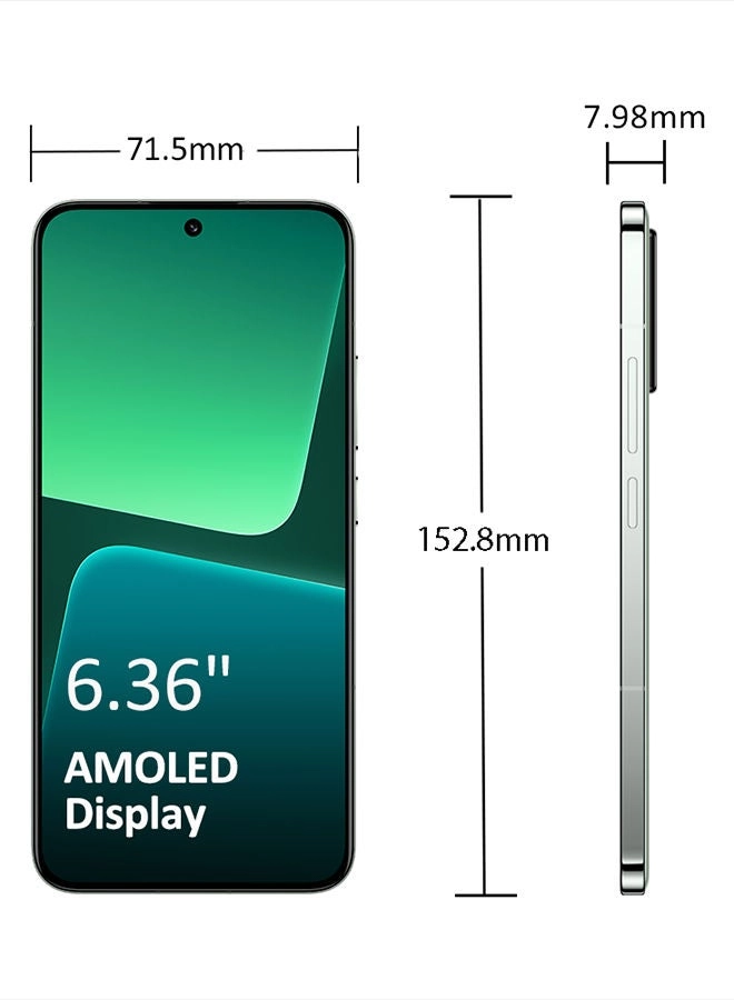 13 - 12GB 256GB