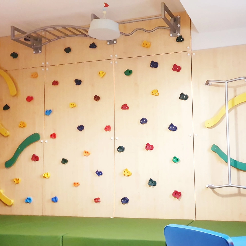 Climbing Wall - Monkey Bars Fireman Pole 560 x 50 x 300 cm