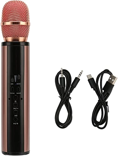 Portable Singing Microphone - 1 8W