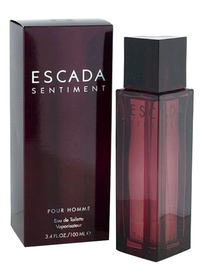 Sentiment Eau de Toilette 100ml