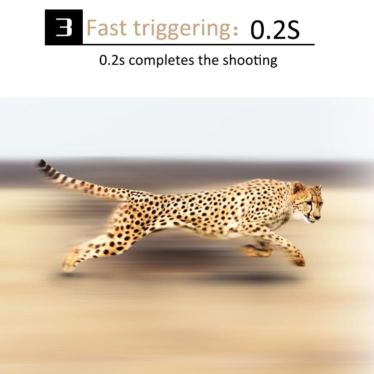 4K Trail Camera - 32MP