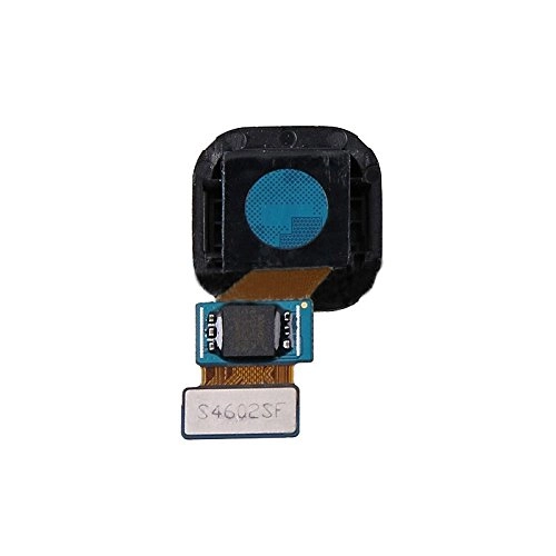 Rear Camera for Galaxy Alpha / G850F