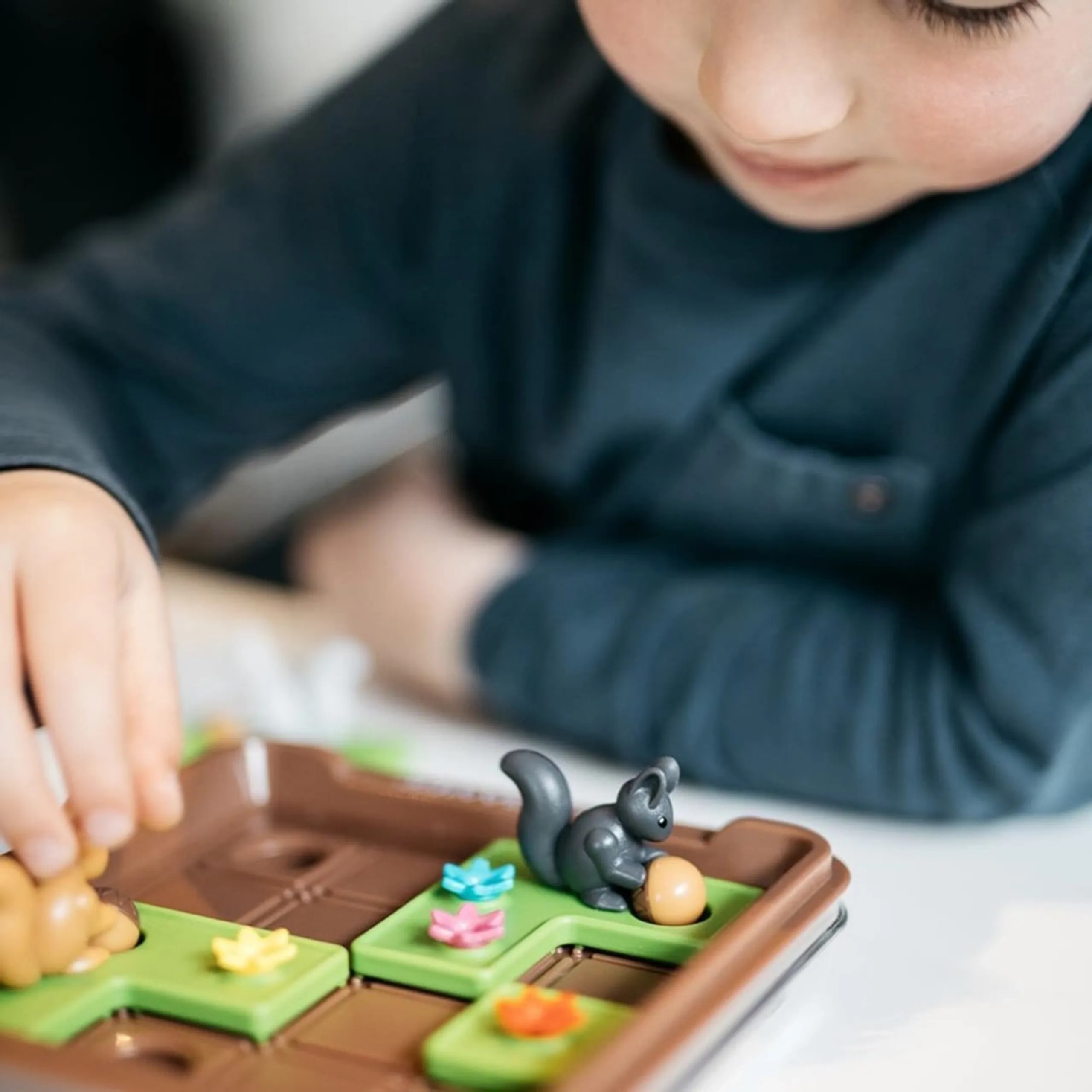 Squirrels Go Nuts - Travel Game 60 Challenges