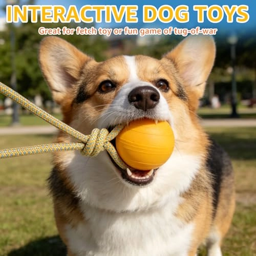Dog Pool Float