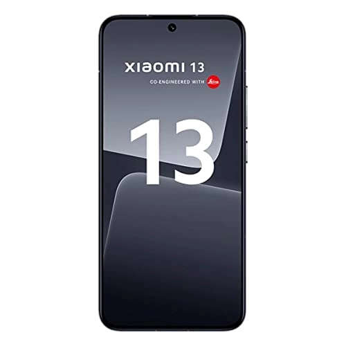 13 - 8GB 256GB