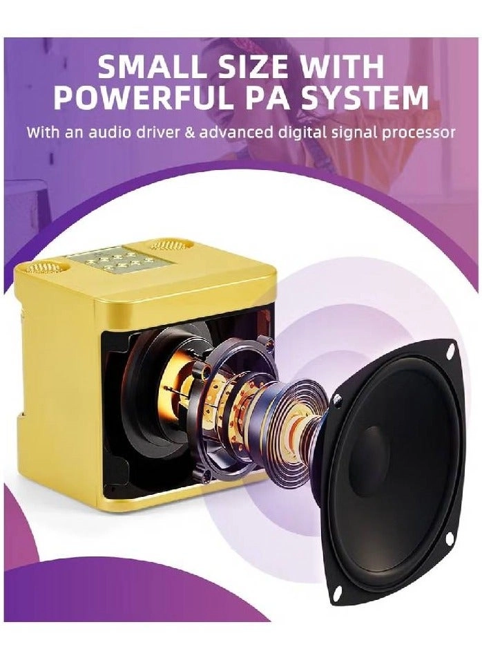 Karaoke Speaker