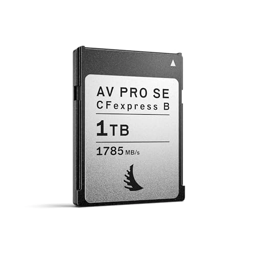 AV Pro CFexpress B SE - 1024 GB 2.5-inch