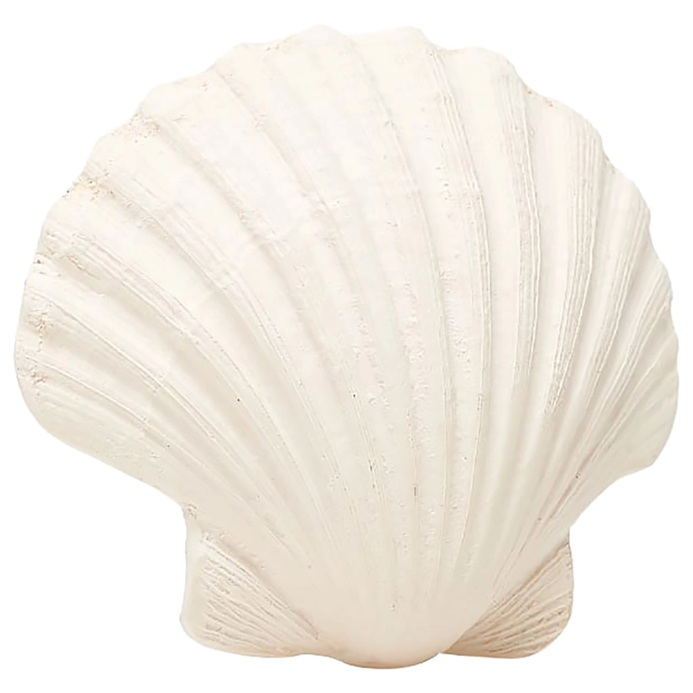 Lanco Shell Teether - pure natural rubber