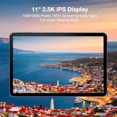 T30 Ultra - 256GB 11"