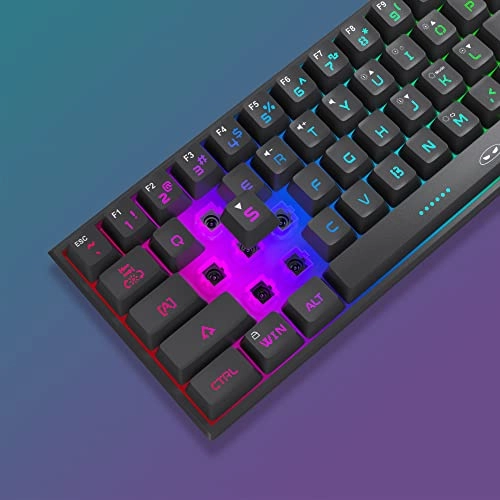 TS91 - Wired/Wireless