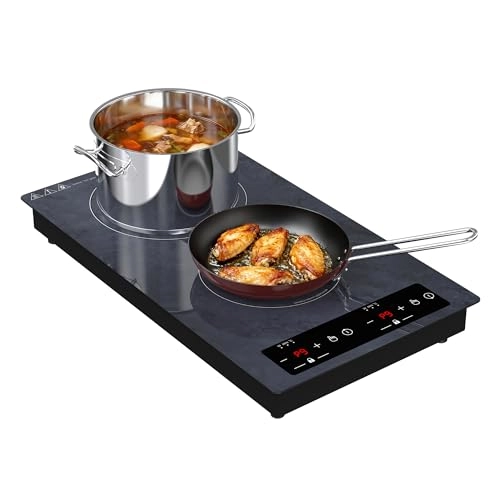 Plaque Induction 2 feux Induction hob