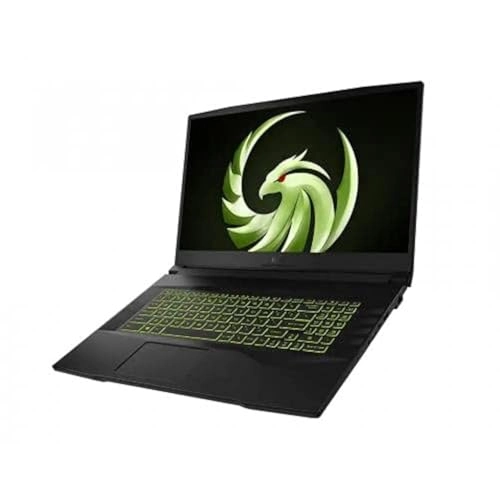 Alpha 17 - 17.3'' Ryzen 7 5800H 16GB DDR4 512GB SSD