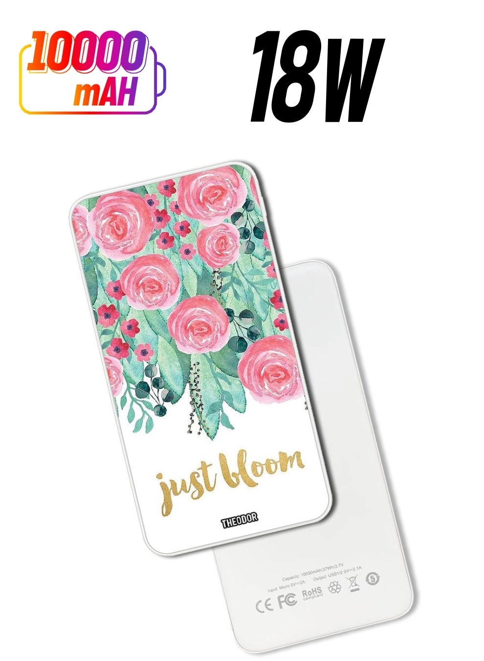 Theodor EX_PPBA260 - 10000mAh 18W PD