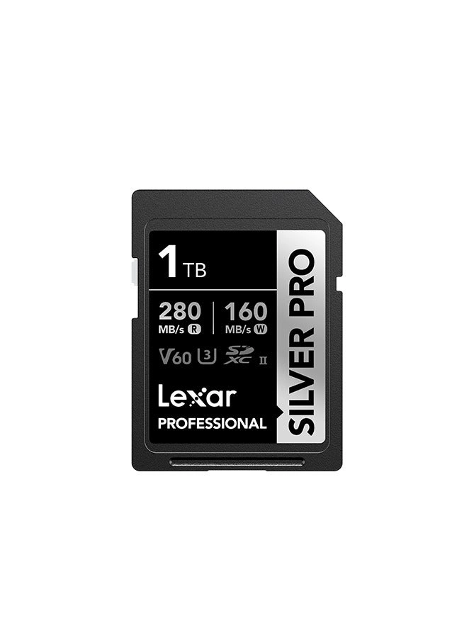 Lexar Professional Silver PRO SDXC - 1 TB