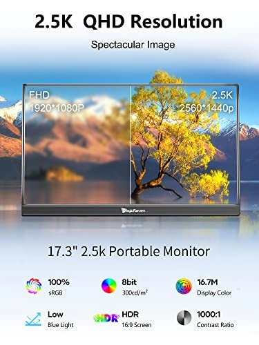 M1701 - 2560 x 1440 Pixels 17.3"