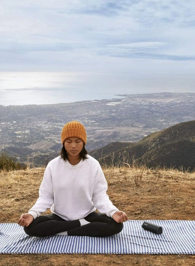 Roam - ROAM1R21BLK Portable Smart Speaker