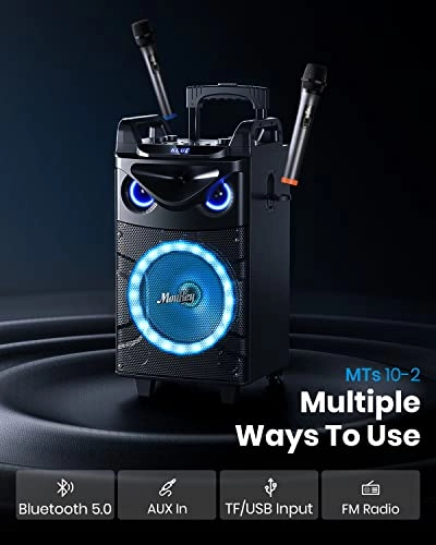 MTs10-2 - 2 Wireless Microphones 160 Watt
