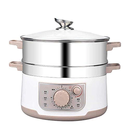 Electric Steamer - 3