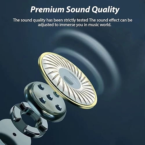 X21DS Wireless Earbud