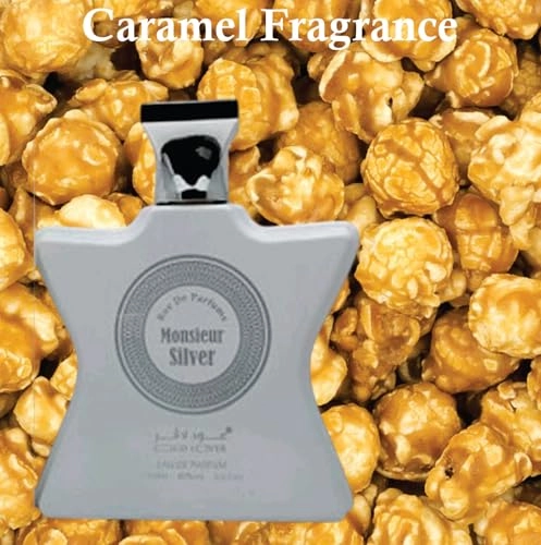 Monsieur Silver Eau de Parfum 100ml