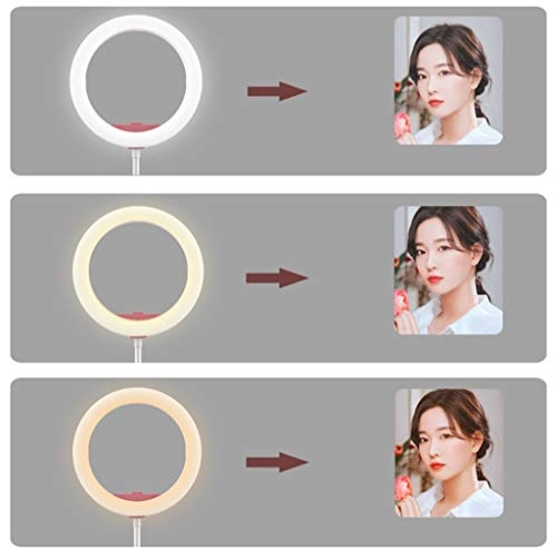 10 inch ring light - 26cm