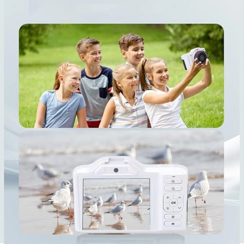 Plyistyr7df2n65qh-11