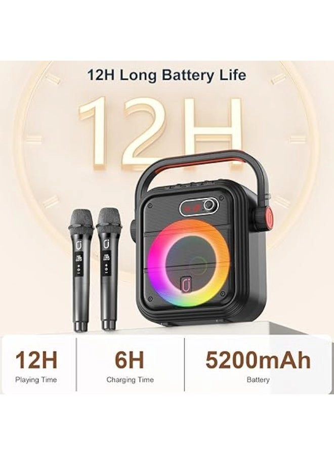 Karaoke machine - 2 wireless microphone