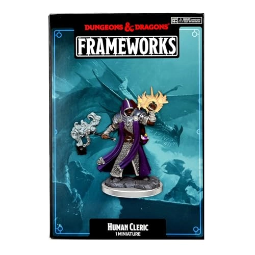 Human Cleric Male - D & D Frameworks W1 - 14 years 1 piece
