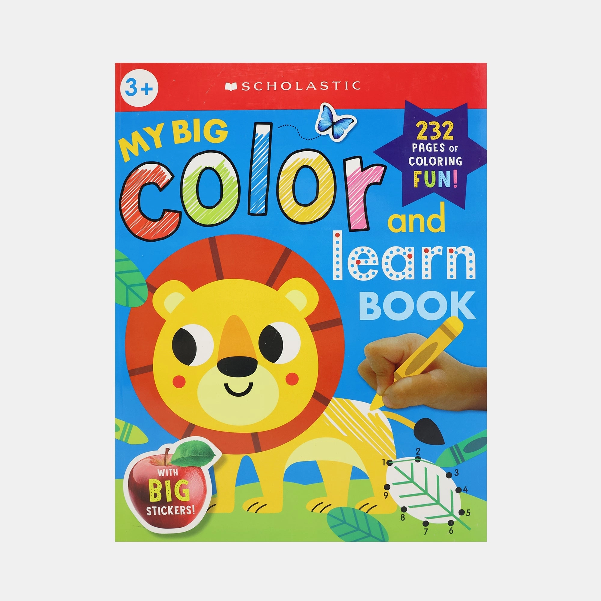 My Big Color and Learn Book