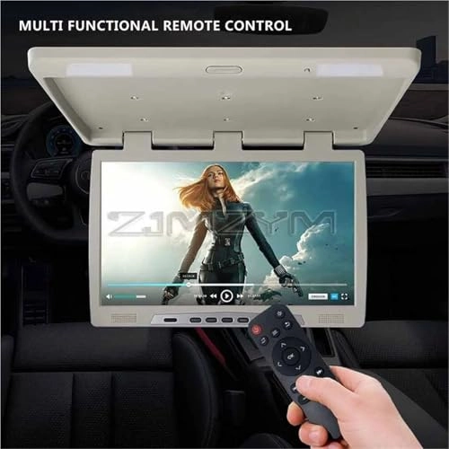 Roofmount LCD Monitor - 19in