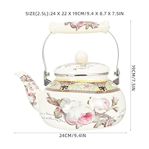 Glass Teapot - Enamel 2.5 Liters