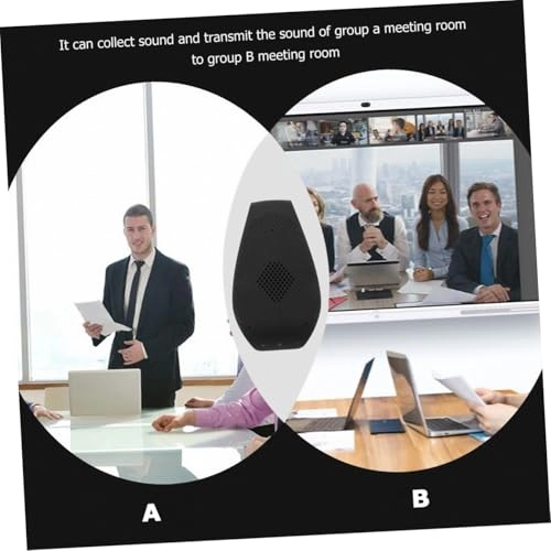 Directional Wireless Microphone