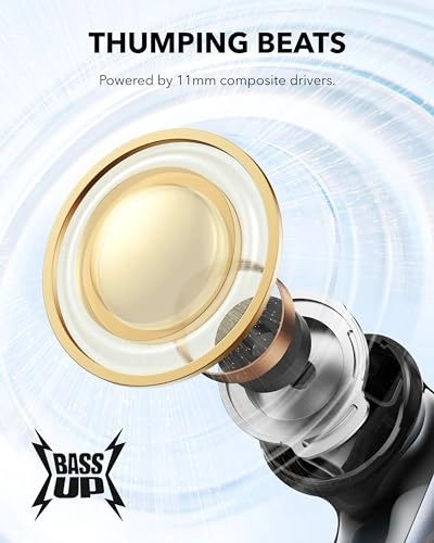 Soundcore P40i Wireless Earphone