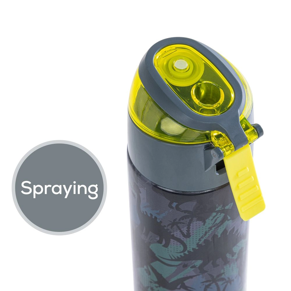 Insulated Stainless Steel Water Bottle - 640 ml - Spray