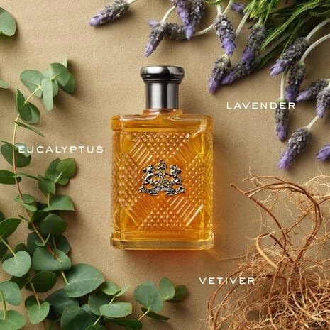 Romance Eau de Parfum 100ml