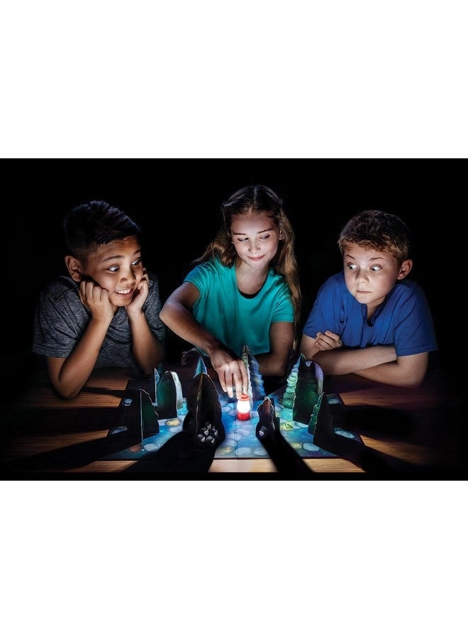 Shadows in the Forest