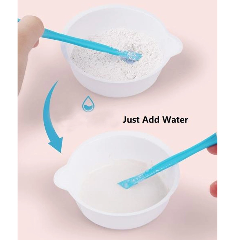 Mould & Paint Wild Animal Fridge Magnet Craft Kit - 6 assorted designs Suitable for 5+ Years