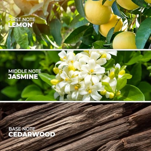 Bleu Horizon Extrait De Parfum - 50ML