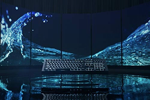 Cynosa V2 - 110 keys + 6 multimedia keys Wired