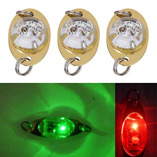 LED Lure Light