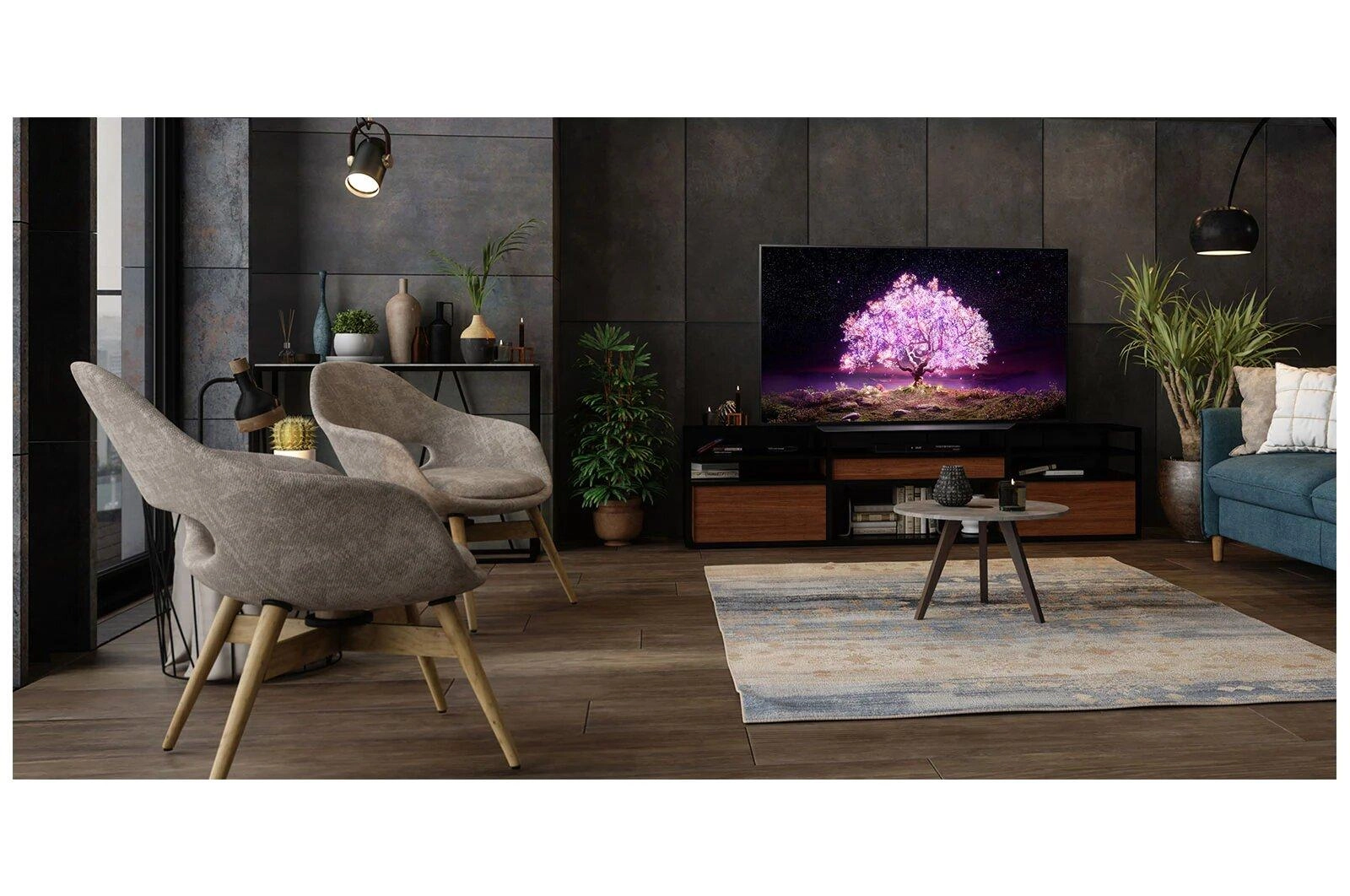 OLED48C1PVB-AMAG - 48 inch