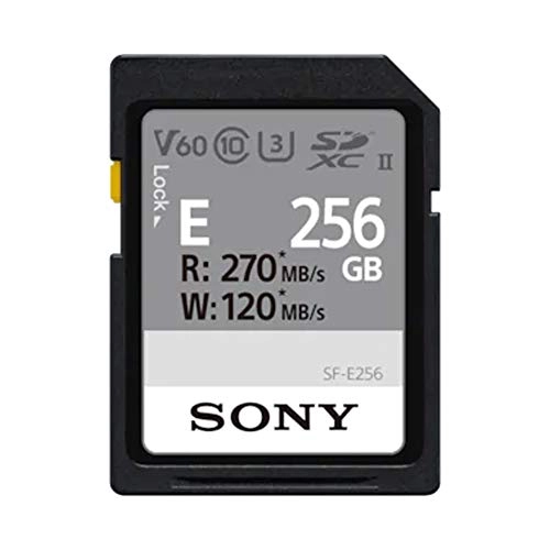 SF-E Series - 256GB