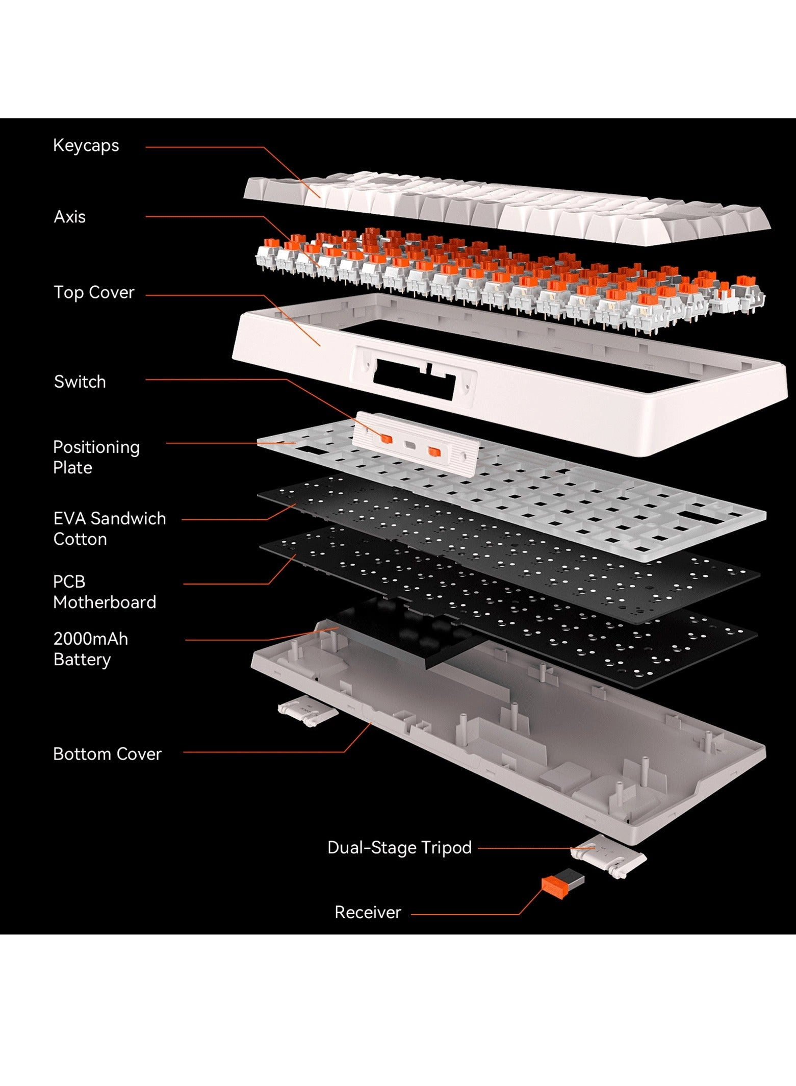 MK12 - EN/AR Wireless
