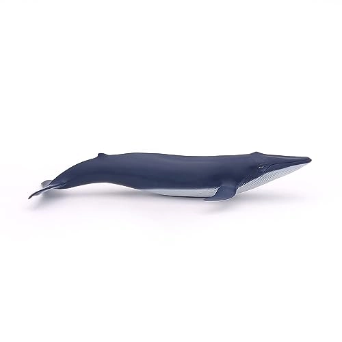 Marine Life - Blue Whale calf (56041)