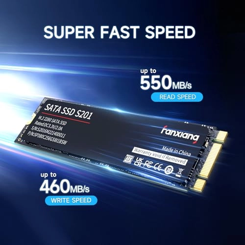 S201 - 256GB M.2 2280